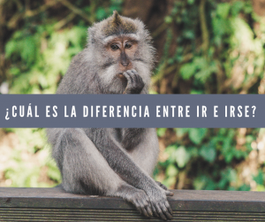 ¿Cuál es la diferencia entre ir e irse?