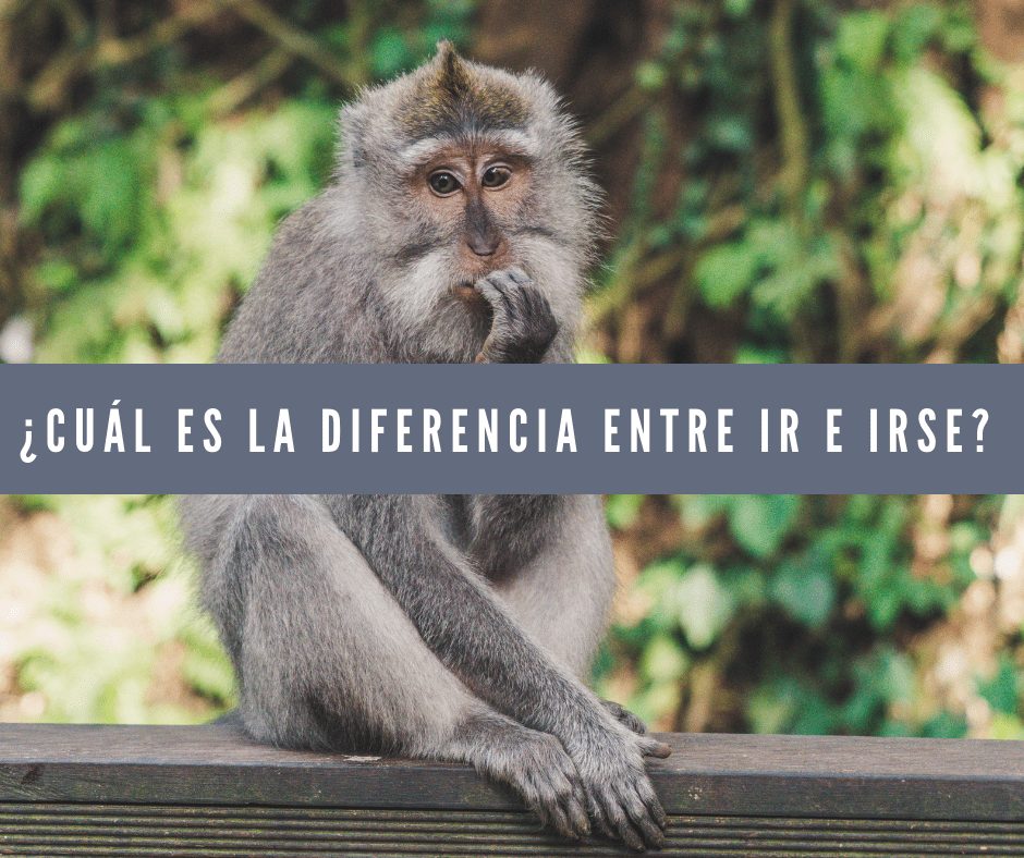 ¿Cuál es la diferencia entre ir e irse?